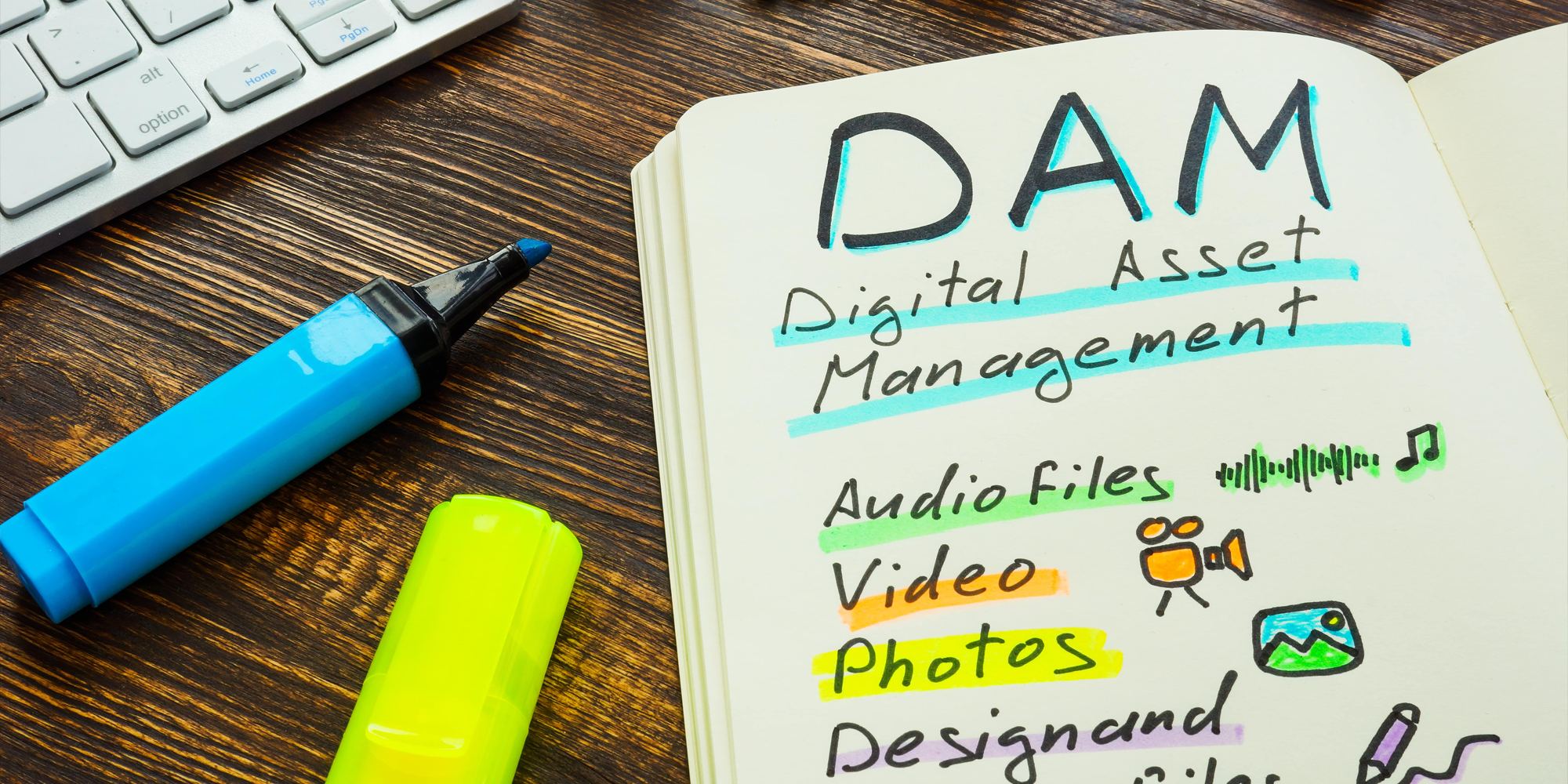 Digital Asset Management (DAM) 